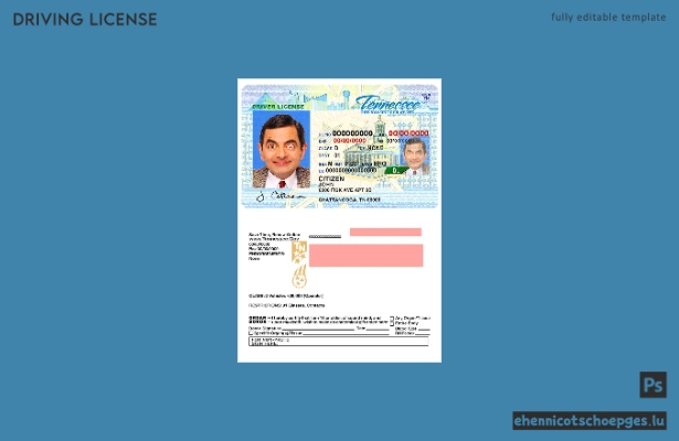 Beispiel für einen US-amerikanischen Führerschein aus Tennessee